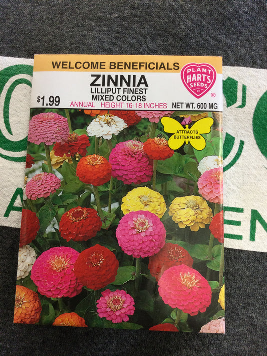 Zinnia Lilliput