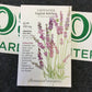Lavender Tall English Vera