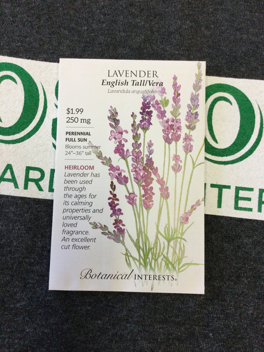 Lavender Tall English Vera