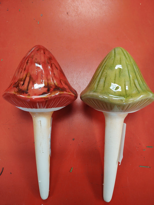 Toadstool med