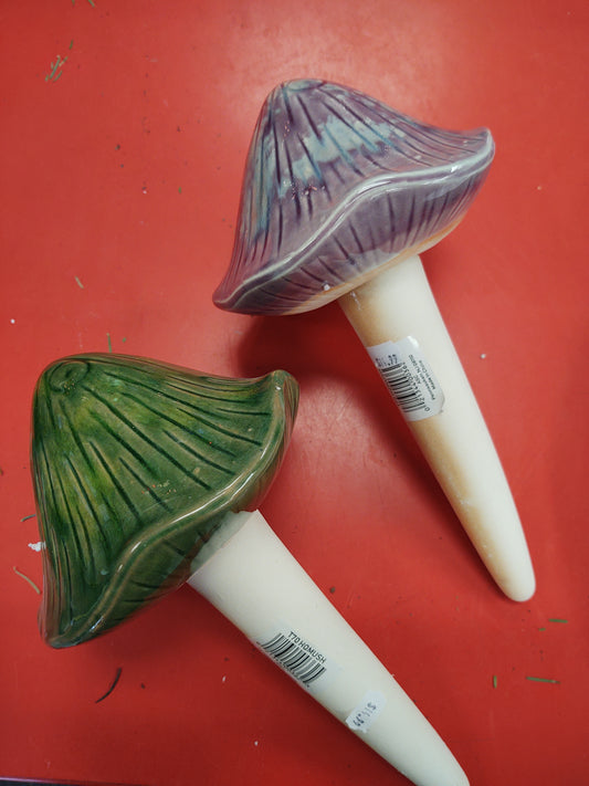 toadstool x-lg