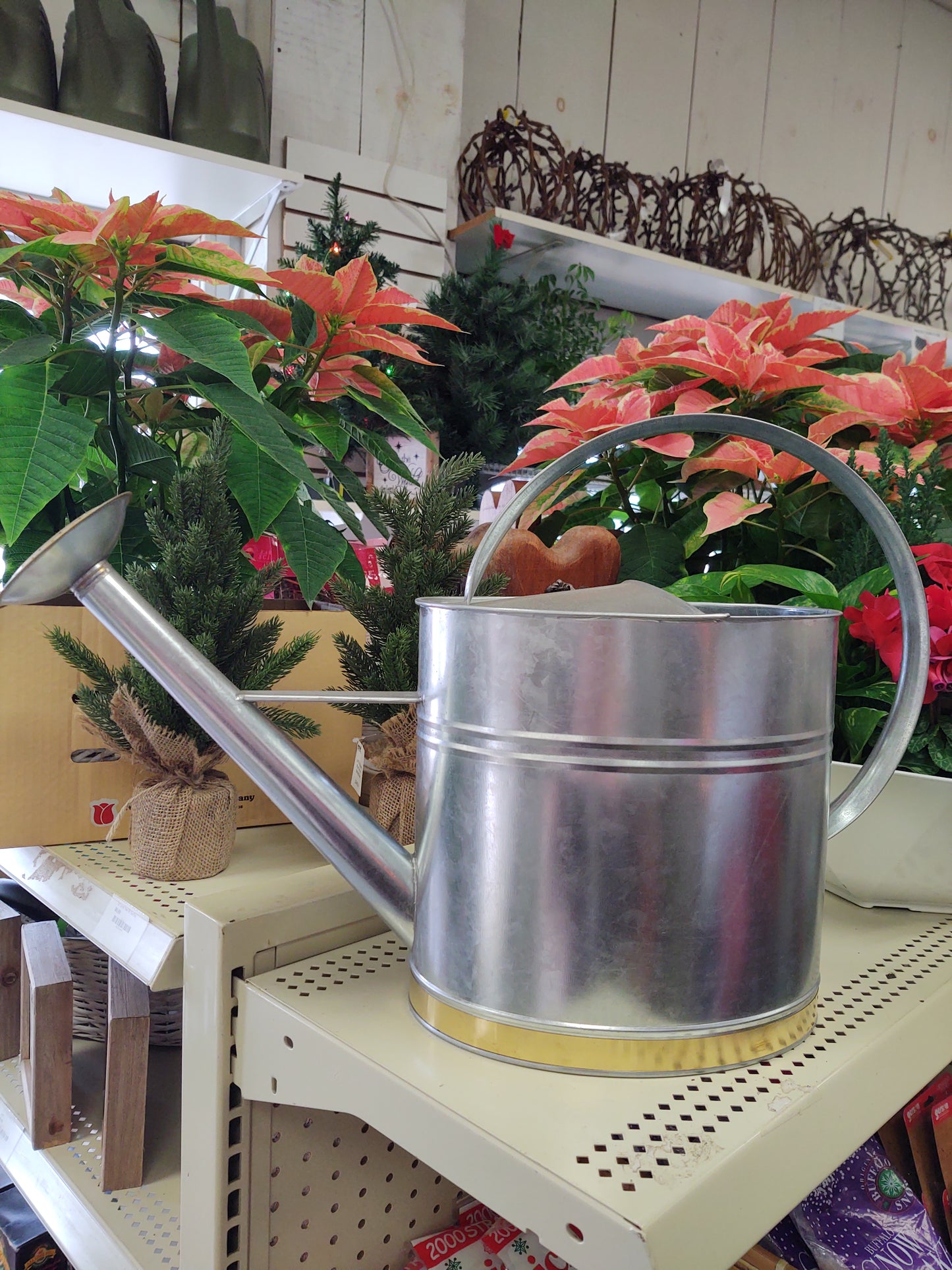 oval watering can galv 2g