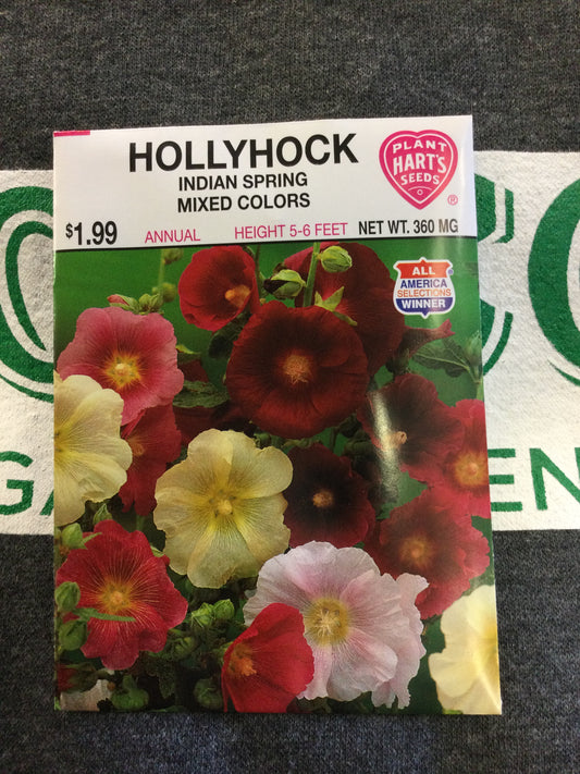 Hollyhock Indian Spring