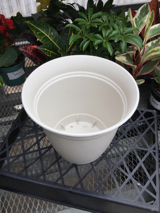 8' Eclipse Rd Plntr Stone