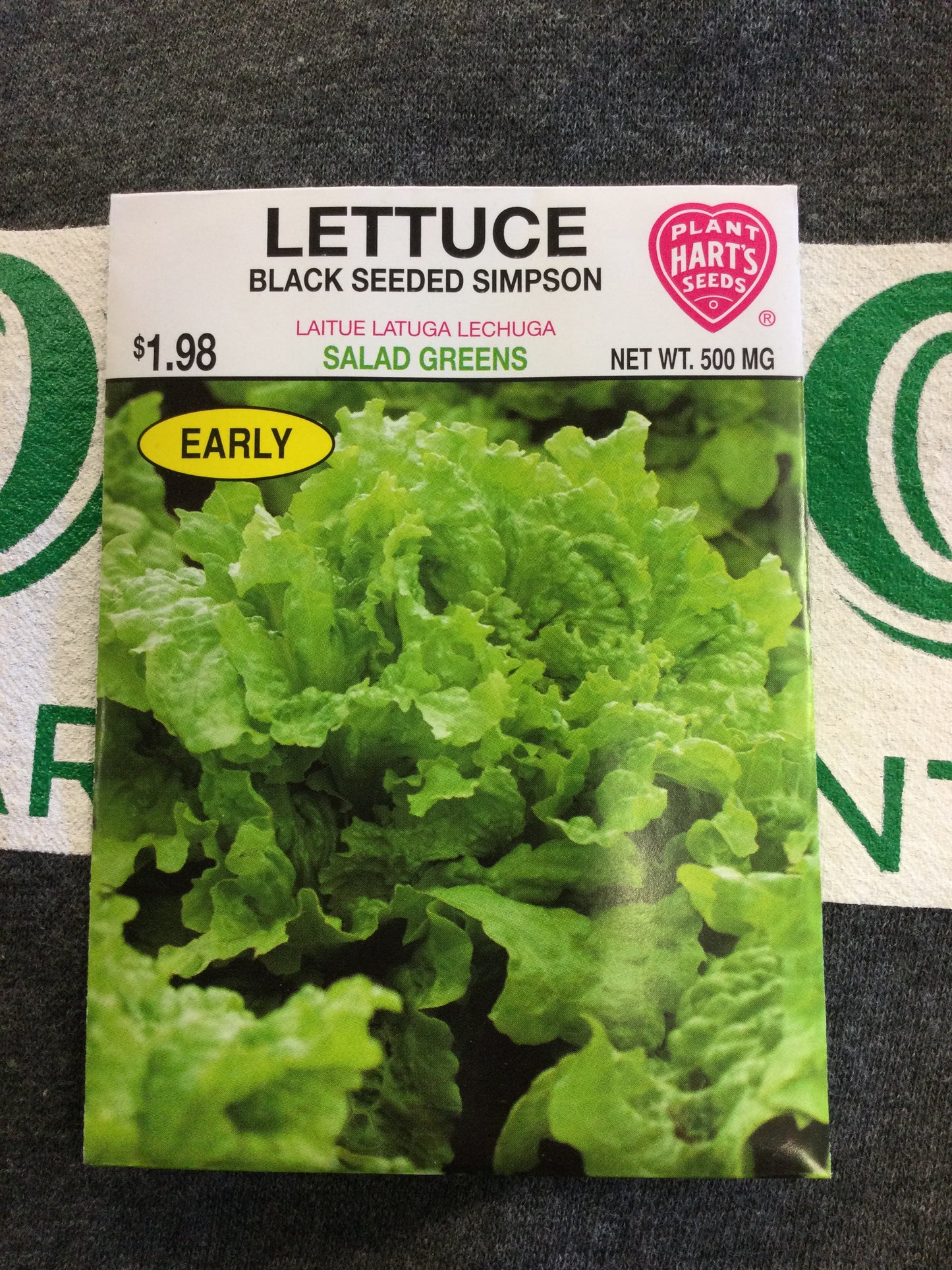 Lettuce Black Seeded Simpson