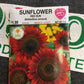 Sunflower Red Sun
