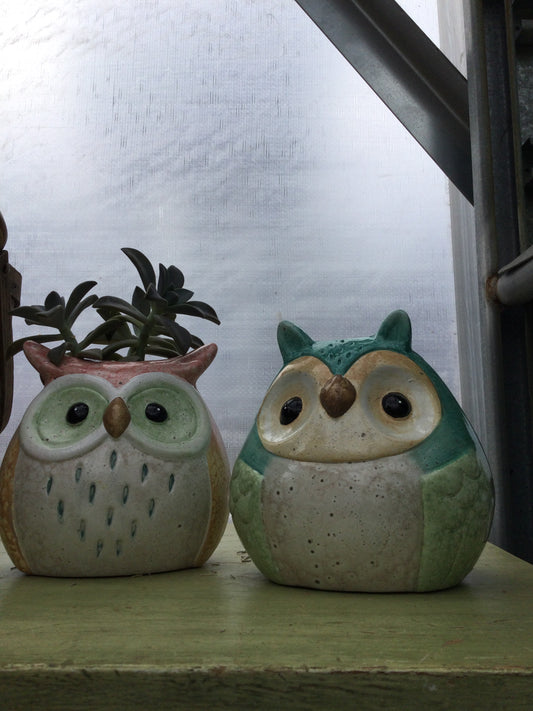 5' owl planter