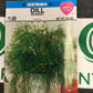 Herb Dill Bouquet
