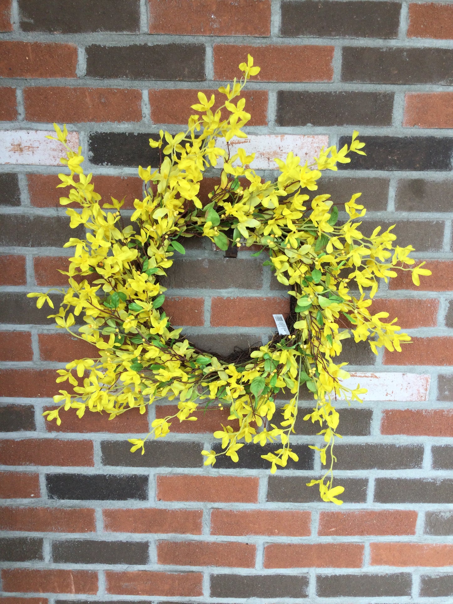 24" twig forsythia wreath