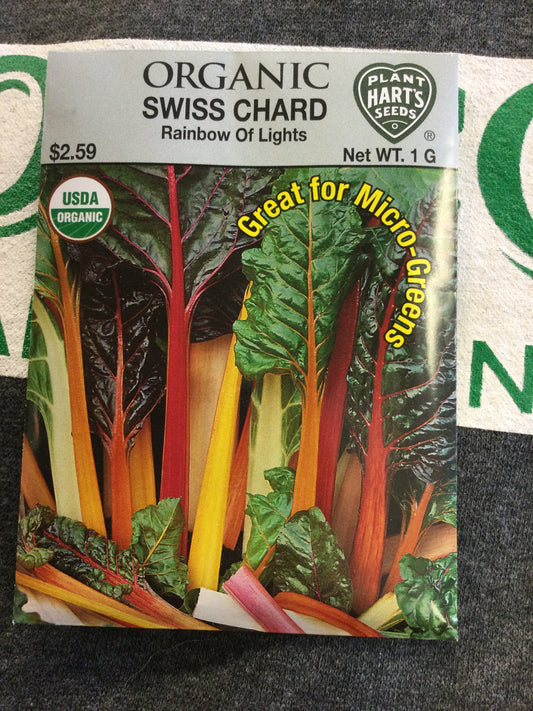 Organic Swiss Chard Rainbow of Lights