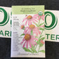 Echinacea Purp Coneflower