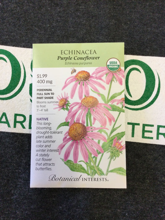 Echinacea Purp Coneflower