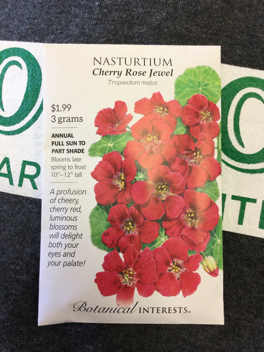 Nasturtium Cherry Rose Jewel