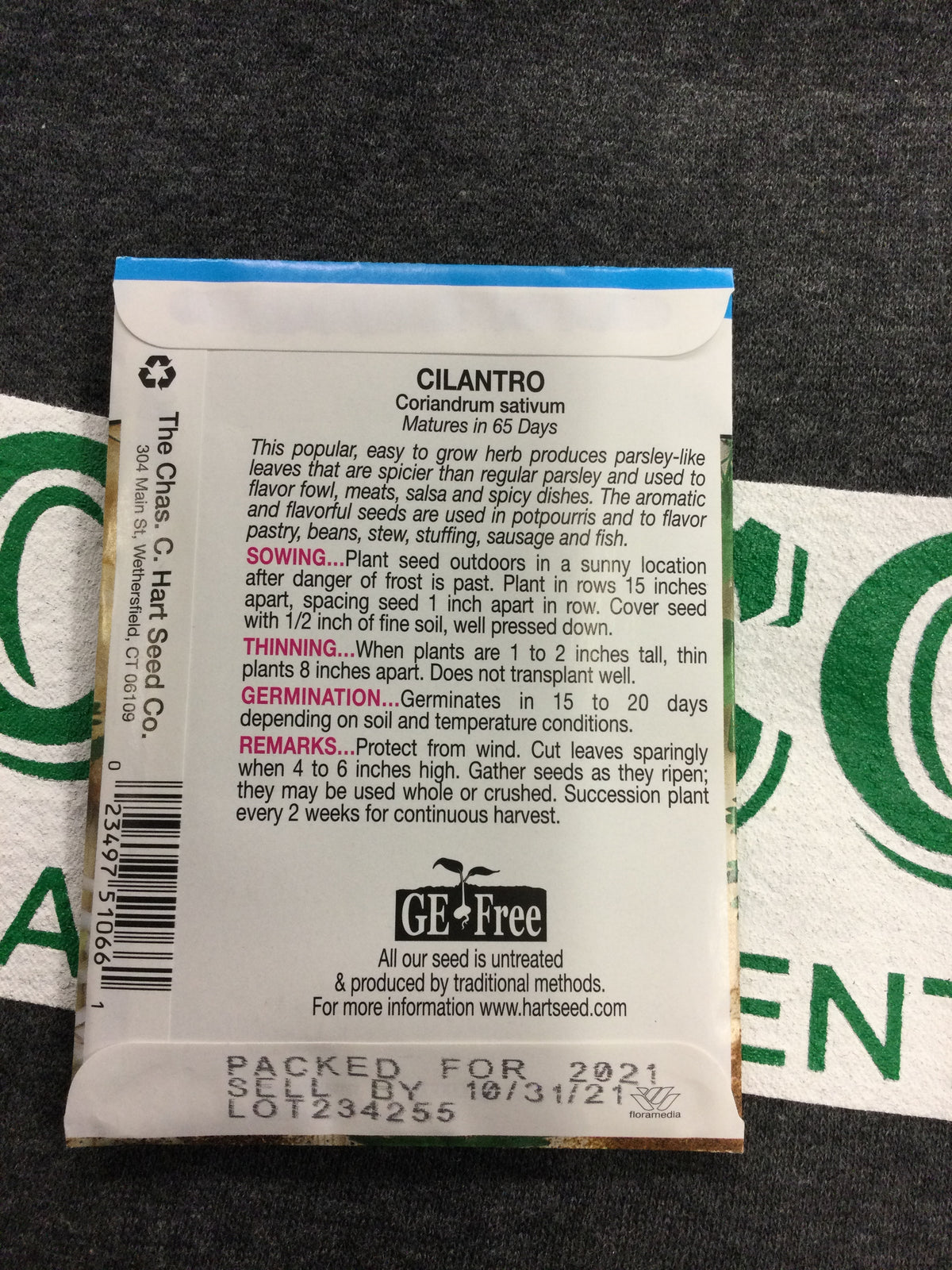 Herb Cilantro