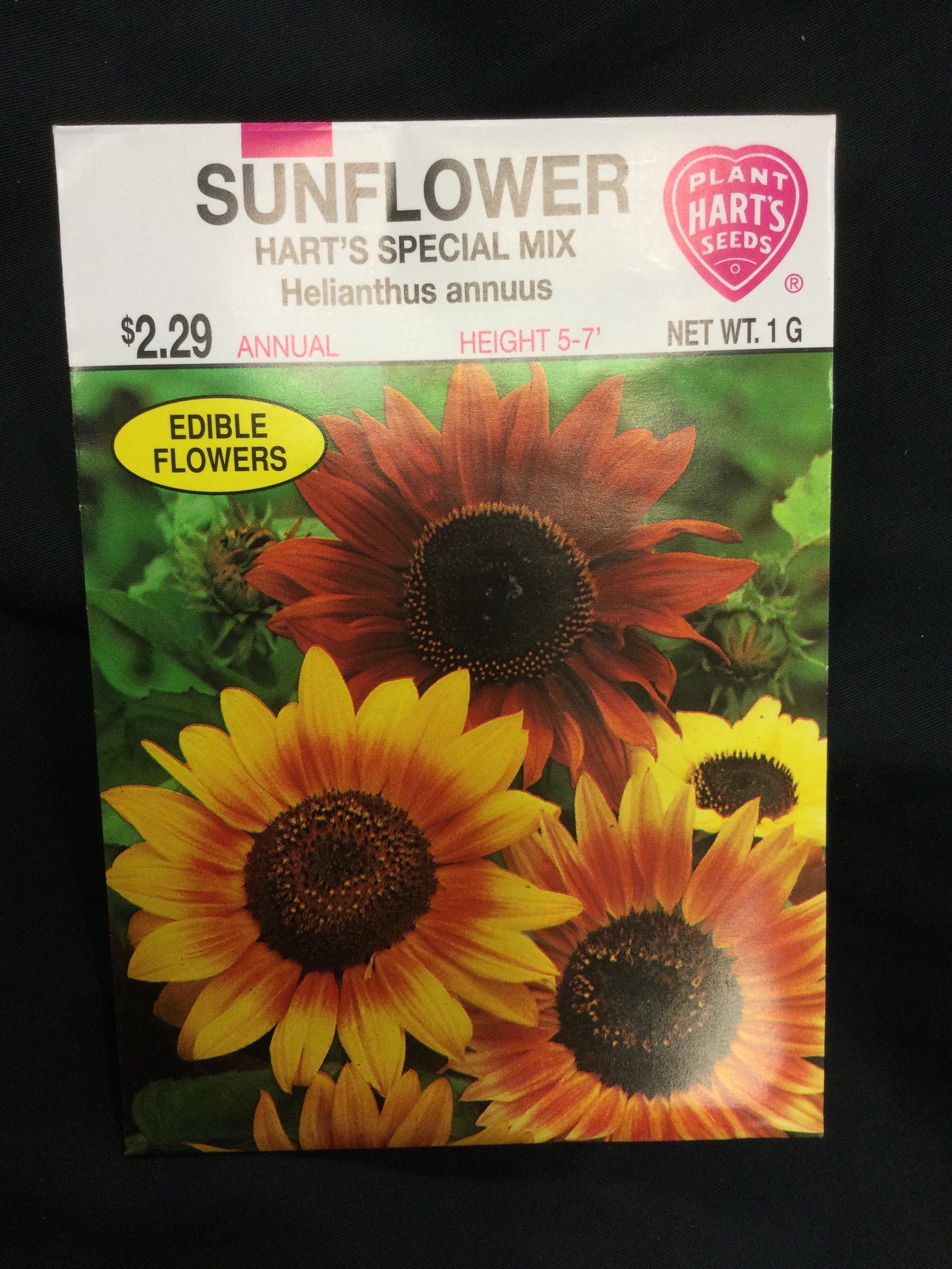 Sunflower Harts mix