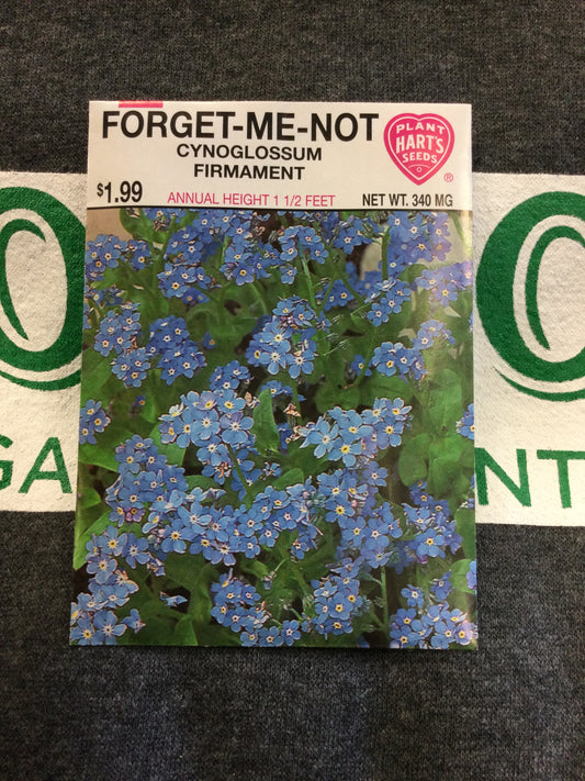 Forget Me Not