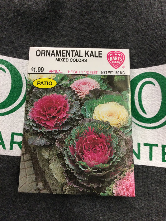 Ornamental Kale