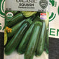 Organic Squash Fordhook Zucchini