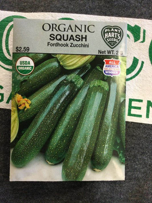 Organic Squash Fordhook Zucchini