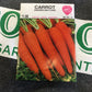 Carrot Danvers Half Long