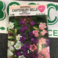 Canterbury Bells