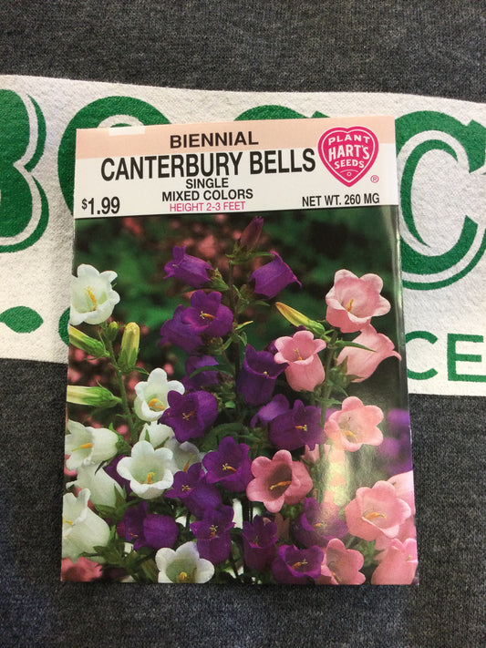 Canterbury Bells