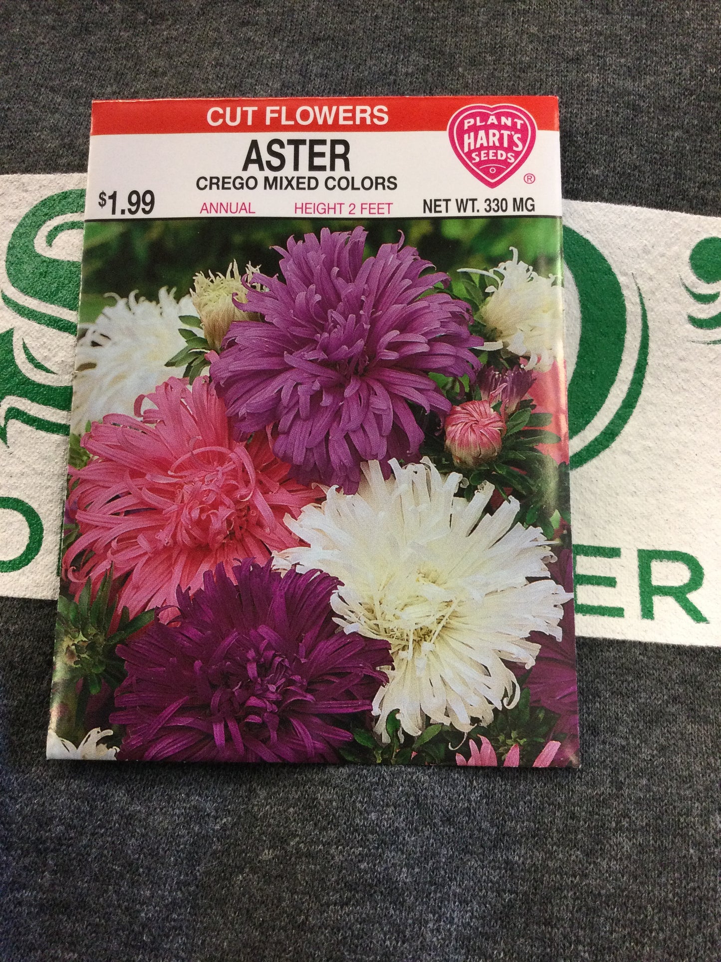 Aster Crego