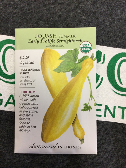 ORG Squash Early Strghtnk