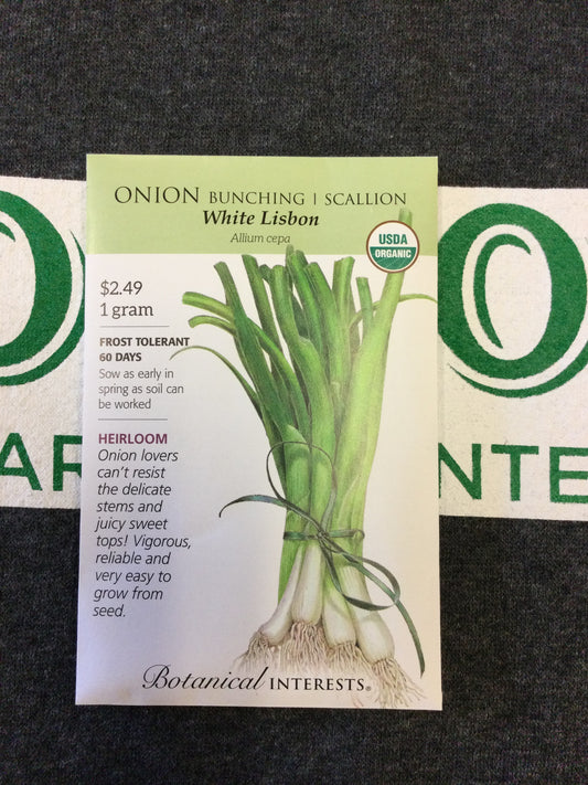 ORG Onion bunching lisbon