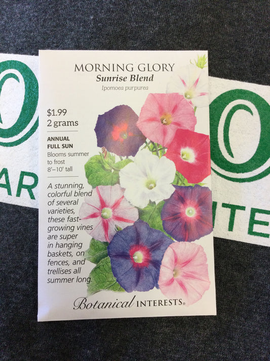 Morning Glory Sunrise blend