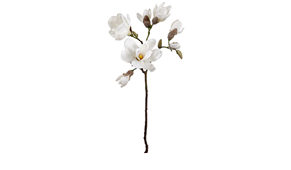 27" Magnolia stem White