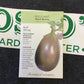 ORG Eggplant Blk Beauty