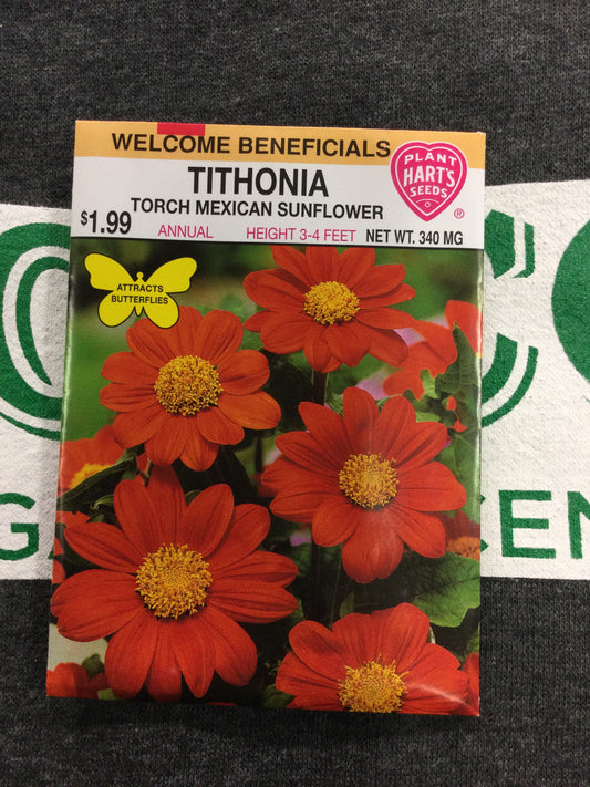 Tithonia Torch Mexican Sunflower