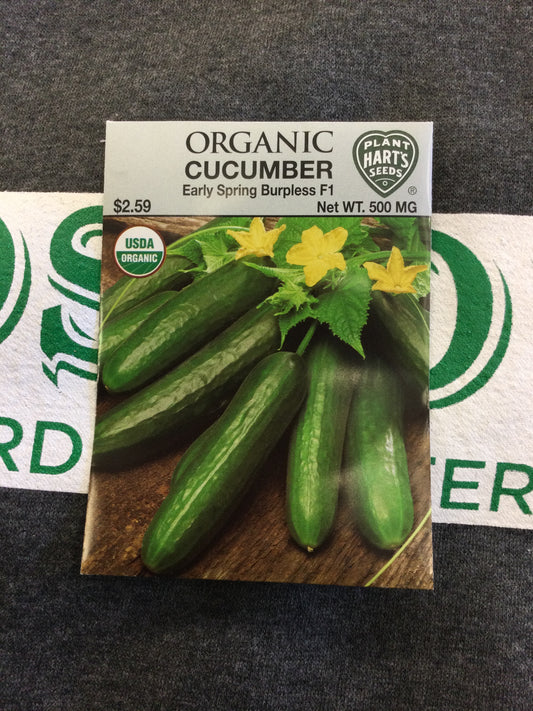 Organic Cucumber Early Spring Burpless