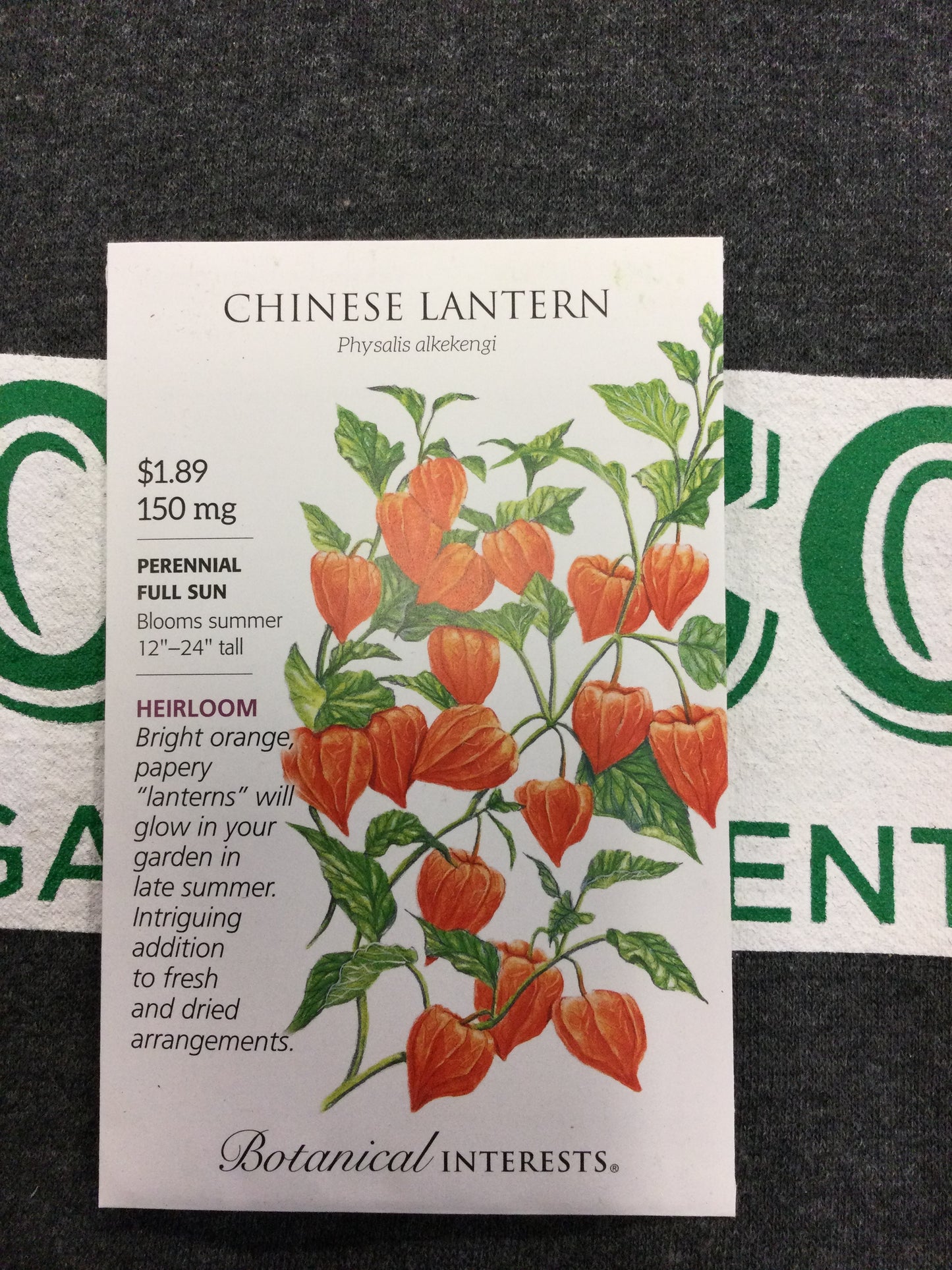 Chinese Lantern