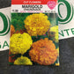 Marigold Crackerjack