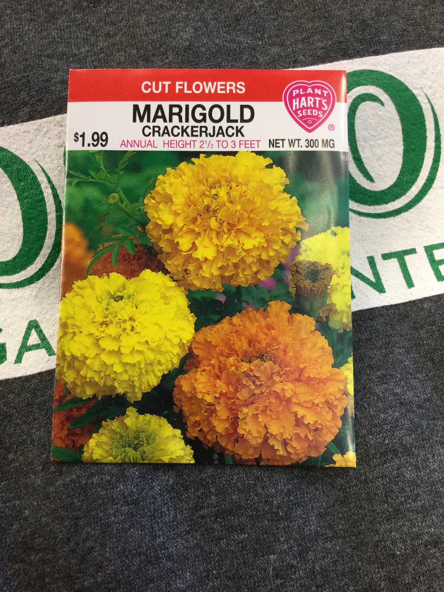 Marigold Crackerjack