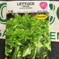 Lettuce Oakleaf