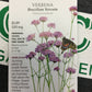Verbena Brazillian Vervain