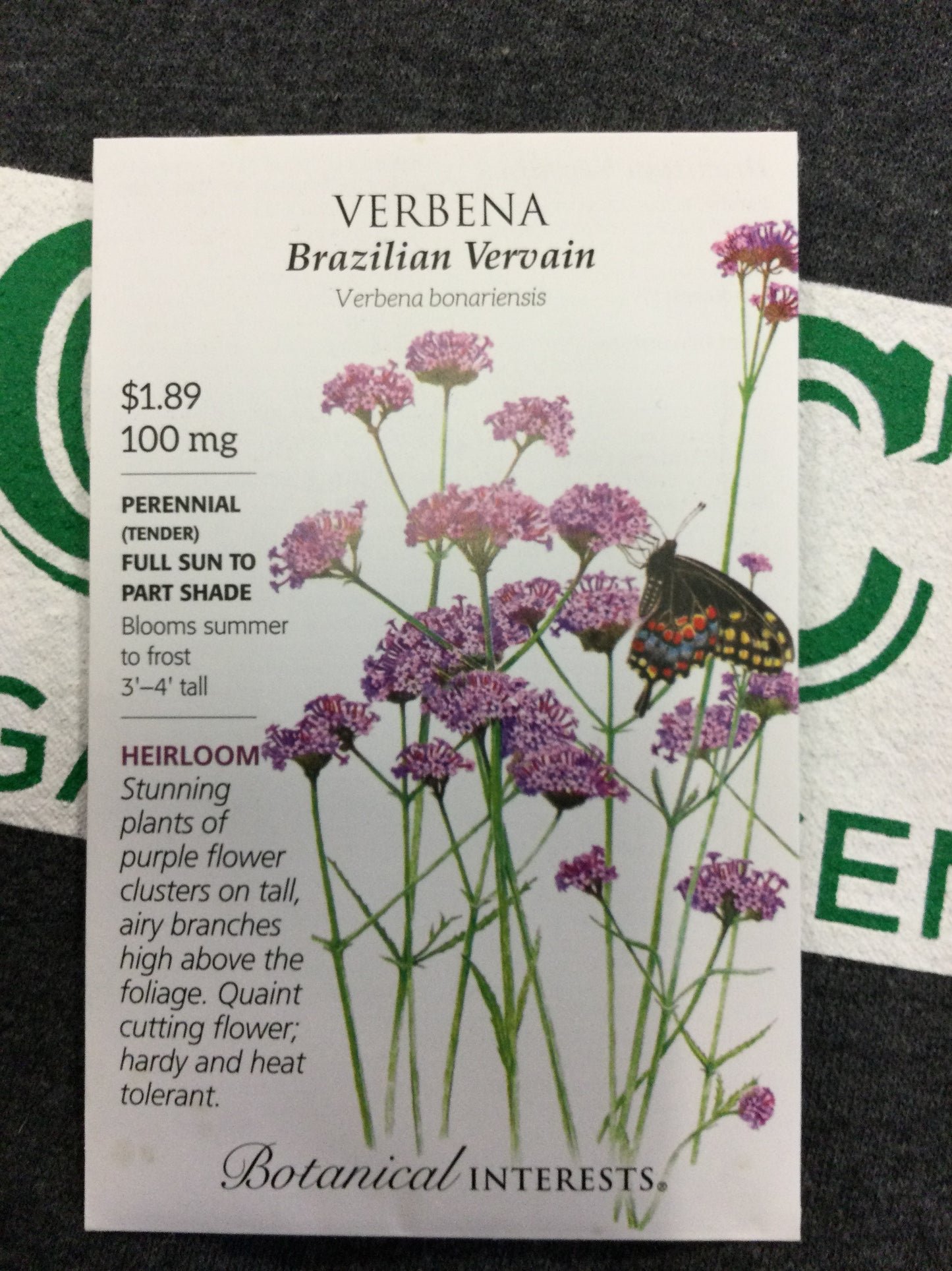 Verbena Brazillian Vervain