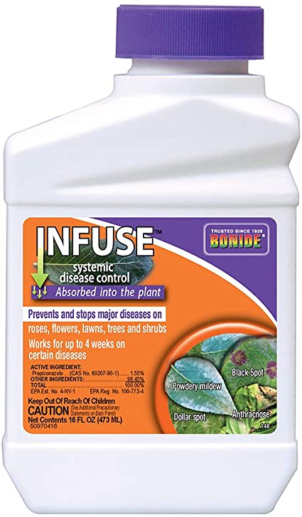 Infuse 16oz Con