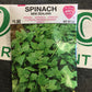 Spinach New Zealand