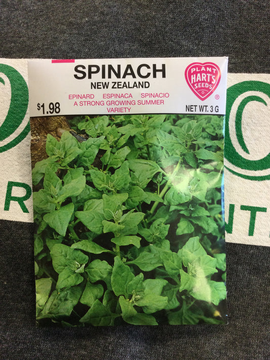 Spinach New Zealand