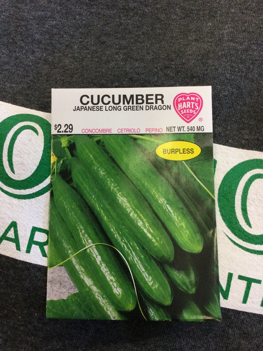 Cucumber Japanese Long