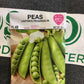 Pea Laxtons Progress