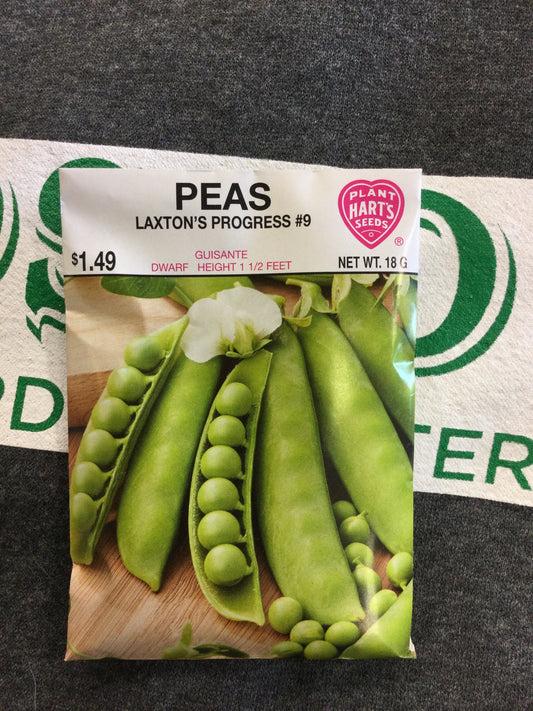 Pea Laxtons Progress