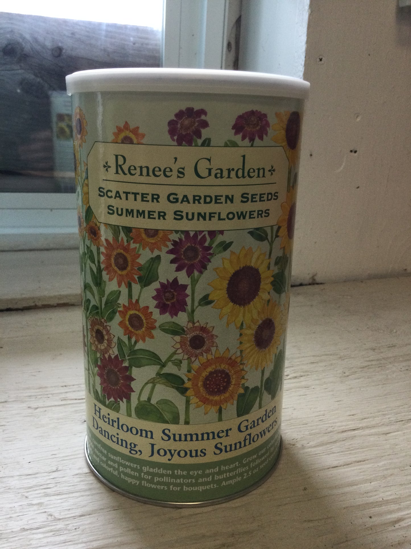 Scatter Garden Summer Sunflowers