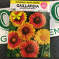 Gaillardia Grandiflora
