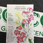 Sweet Pea Perfume Delight Blnd