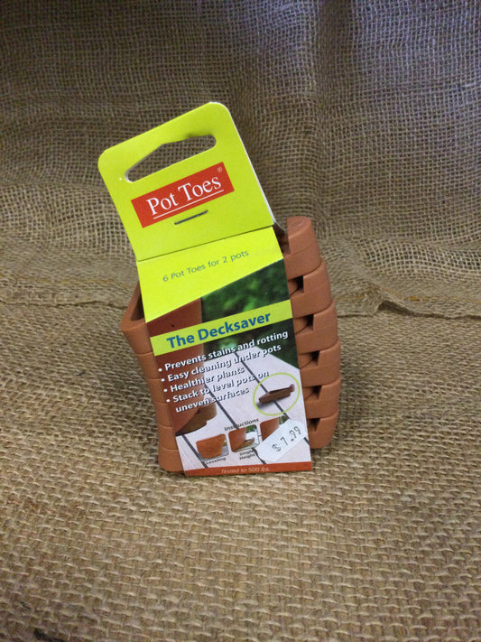 Pot Toes TC 6pk